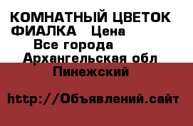 КОМНАТНЫЙ ЦВЕТОК -ФИАЛКА › Цена ­ 1 500 - Все города  »    . Архангельская обл.,Пинежский 